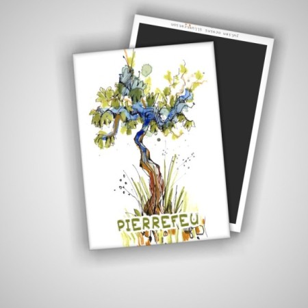 Pierrefeu - Vigne